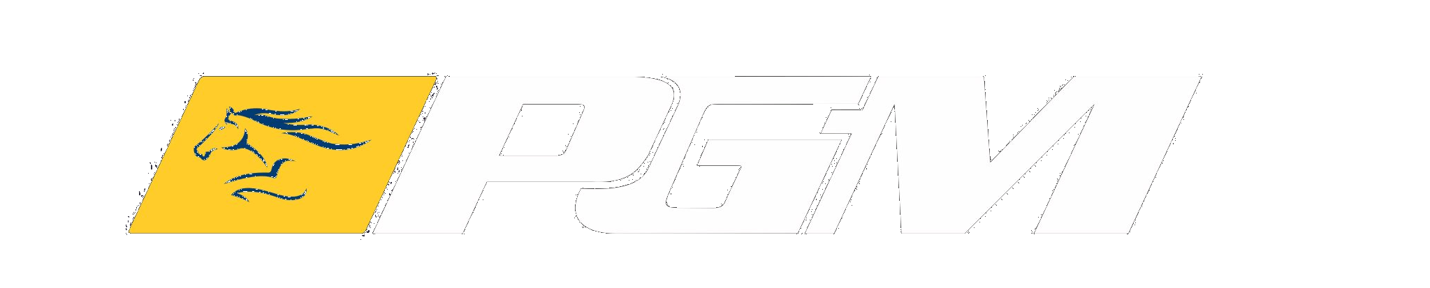 PGM Assistance BH logo